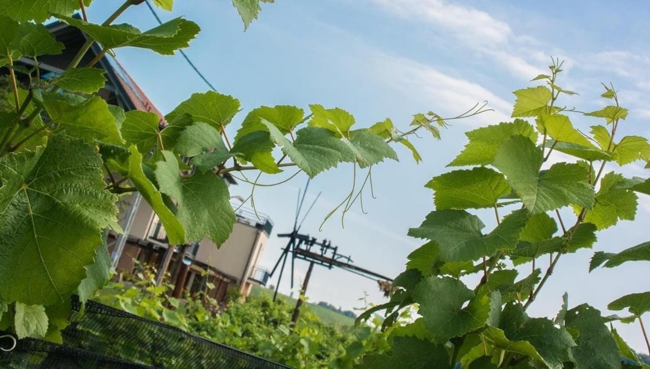 Zweytick Gaestezimmer Weingut Ratsch an der Weinstraße Buitenkant foto