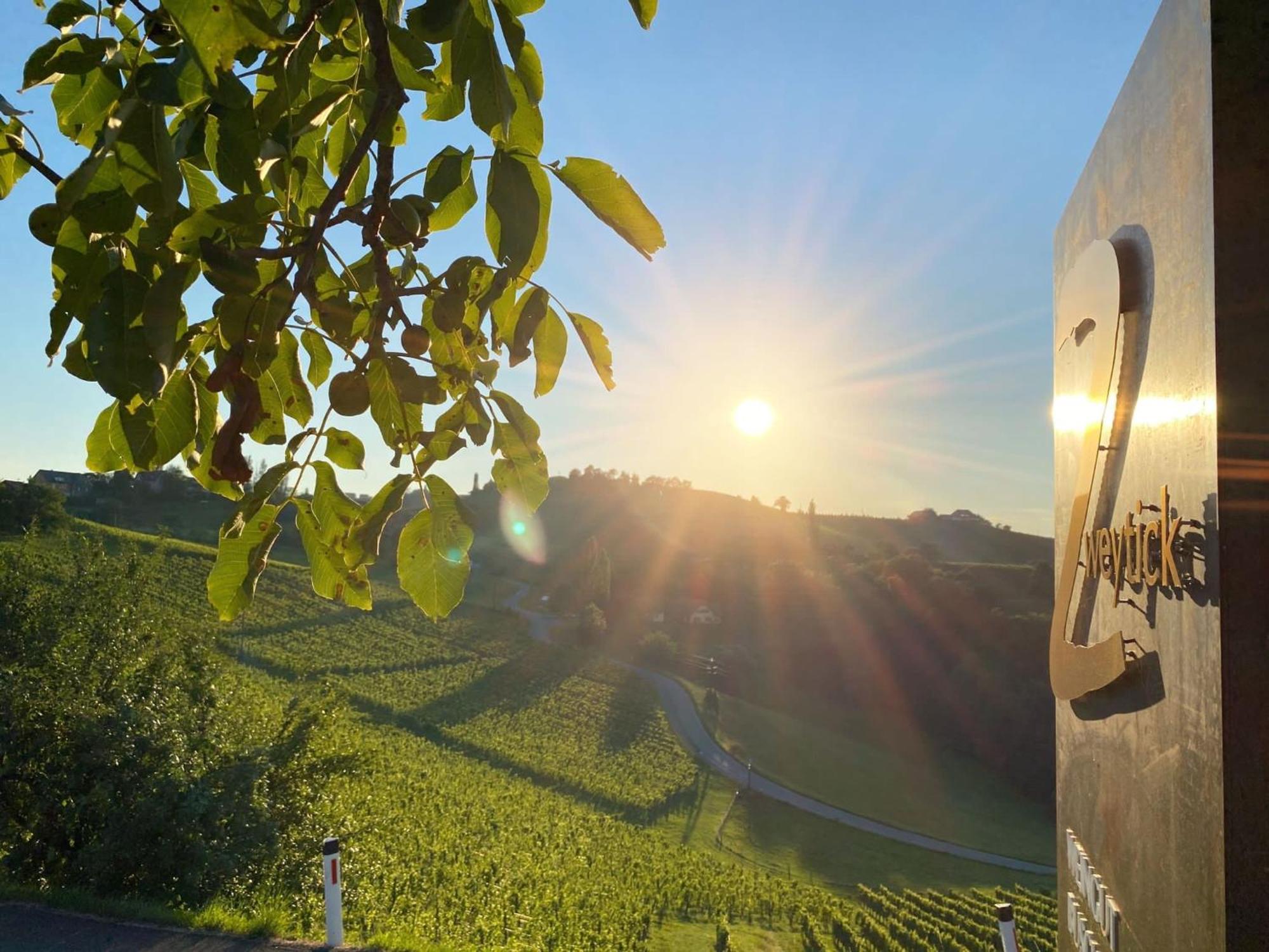 Zweytick Gaestezimmer Weingut Ratsch an der Weinstraße Buitenkant foto