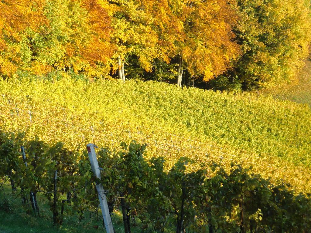 Zweytick Gaestezimmer Weingut Ratsch an der Weinstraße Buitenkant foto