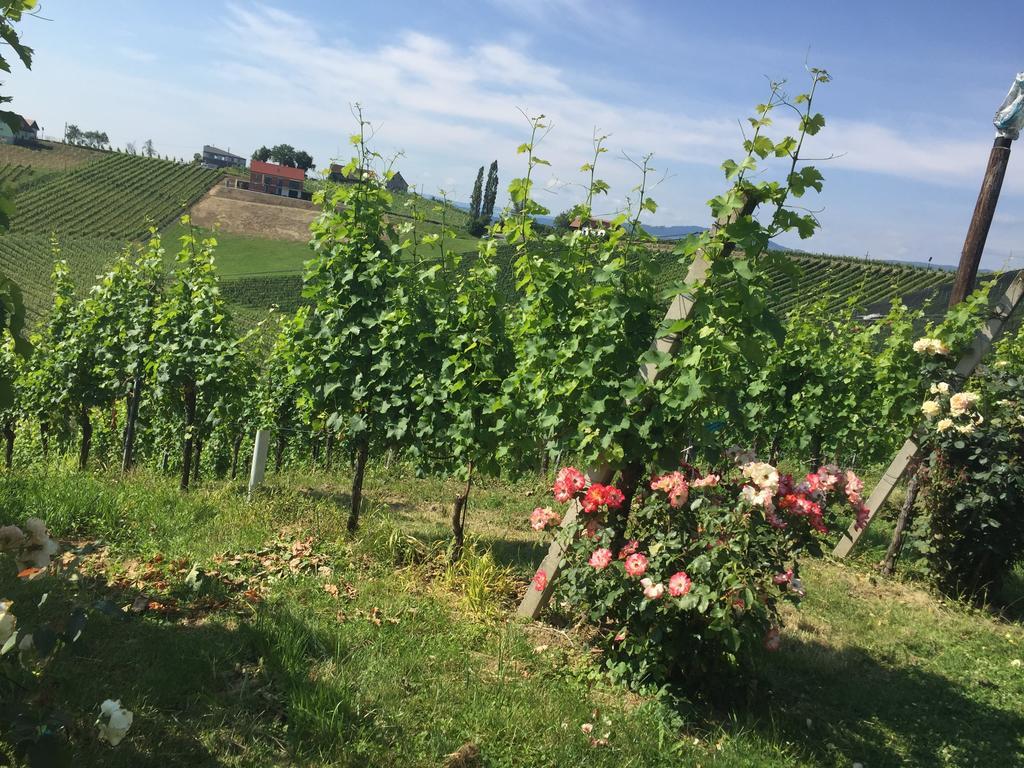 Zweytick Gaestezimmer Weingut Ratsch an der Weinstraße Buitenkant foto