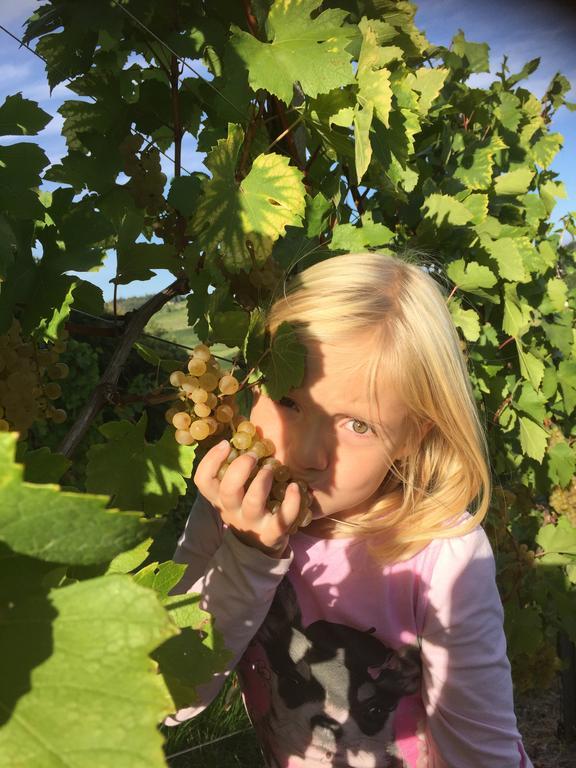 Zweytick Gaestezimmer Weingut Ratsch an der Weinstraße Buitenkant foto